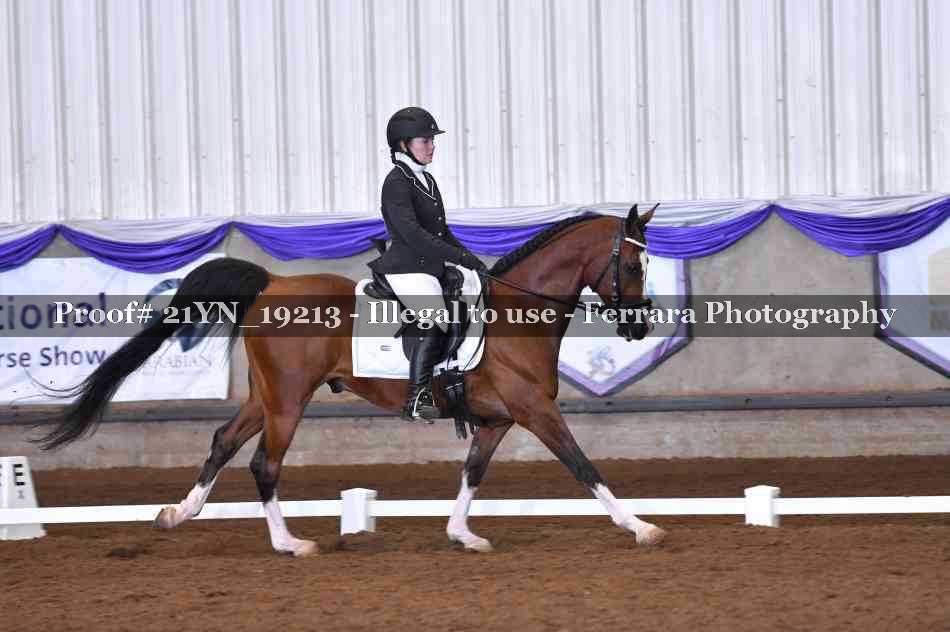 Proof Number 21YN_19213