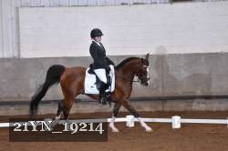 21YN_19214 thumbnail
