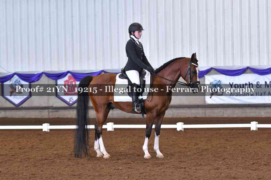 Proof Number 21YN_19215