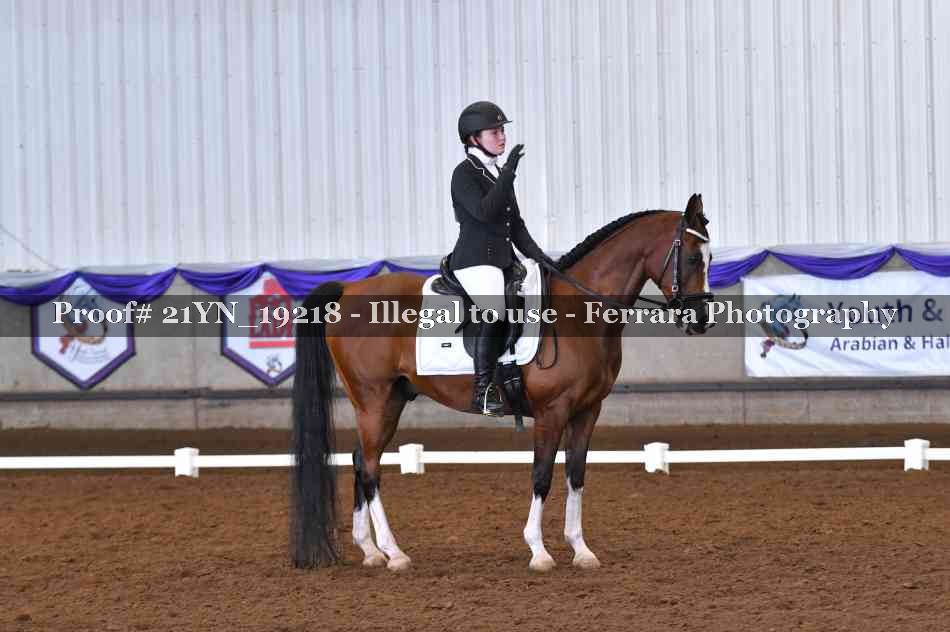 Proof Number 21YN_19218