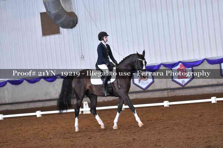 Proof Number 21YN_19219