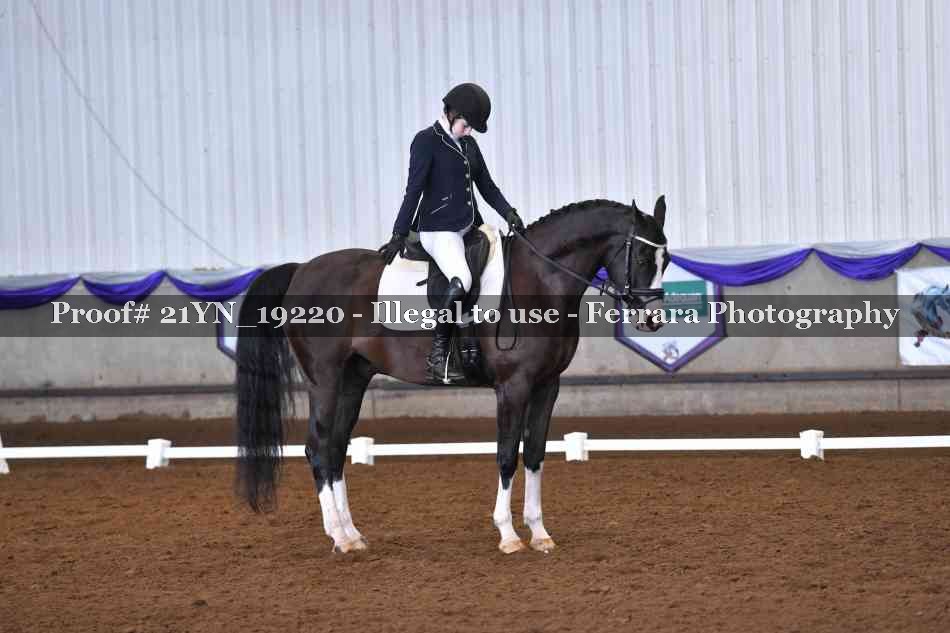 Proof Number 21YN_19220