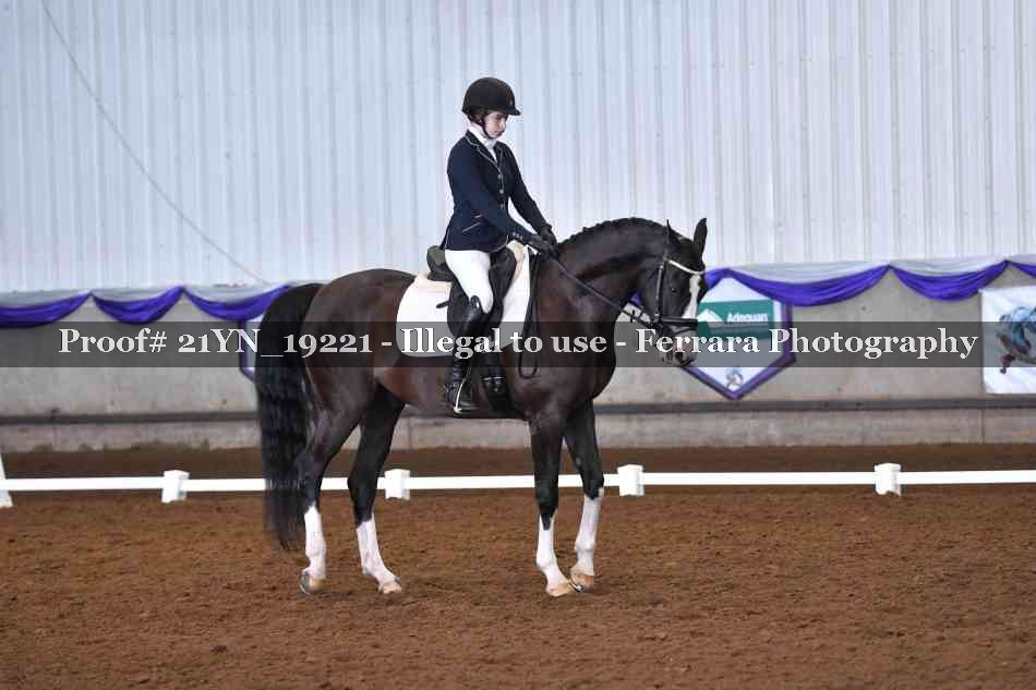 Proof Number 21YN_19221