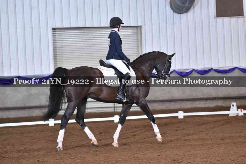 Proof Number 21YN_19222