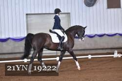 21YN_19222 thumbnail