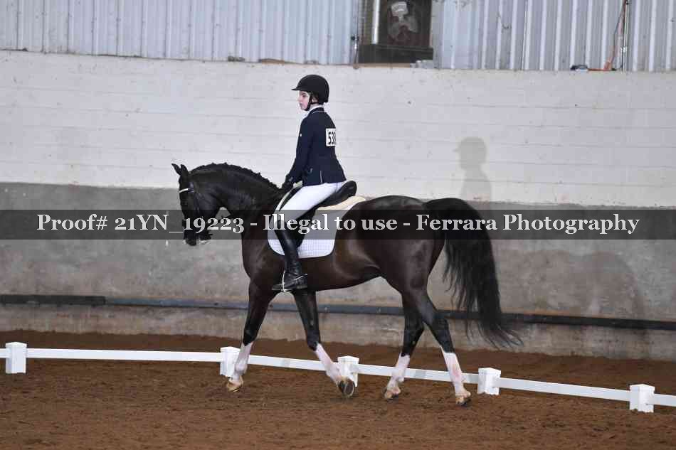 Proof Number 21YN_19223