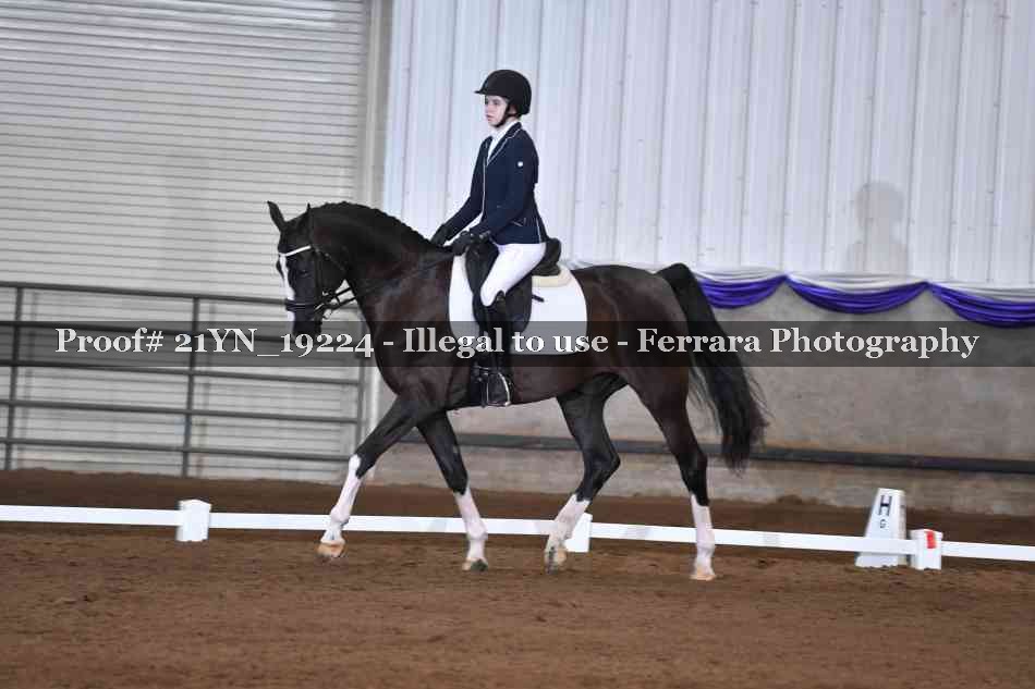 Proof Number 21YN_19224