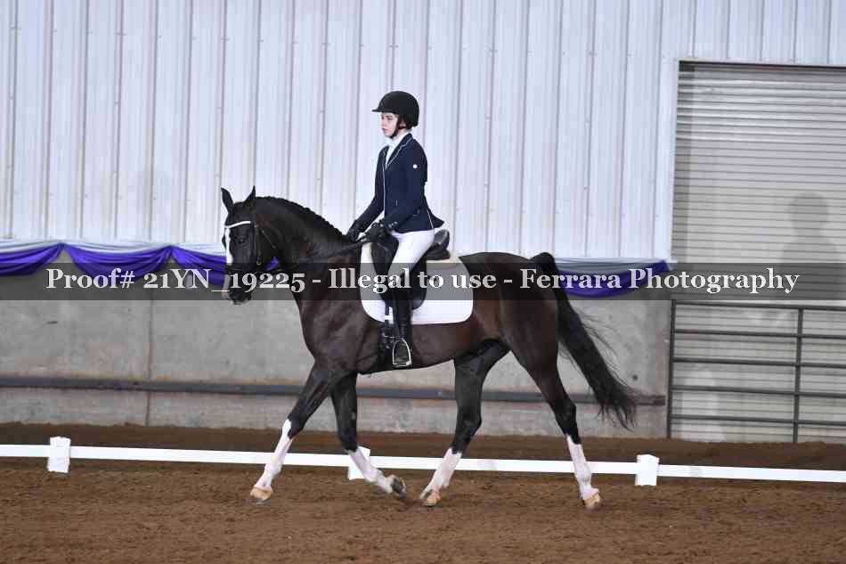 Proof Number 21YN_19225
