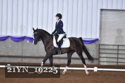 21YN_19225 thumbnail