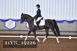 21YN_19226 thumbnail