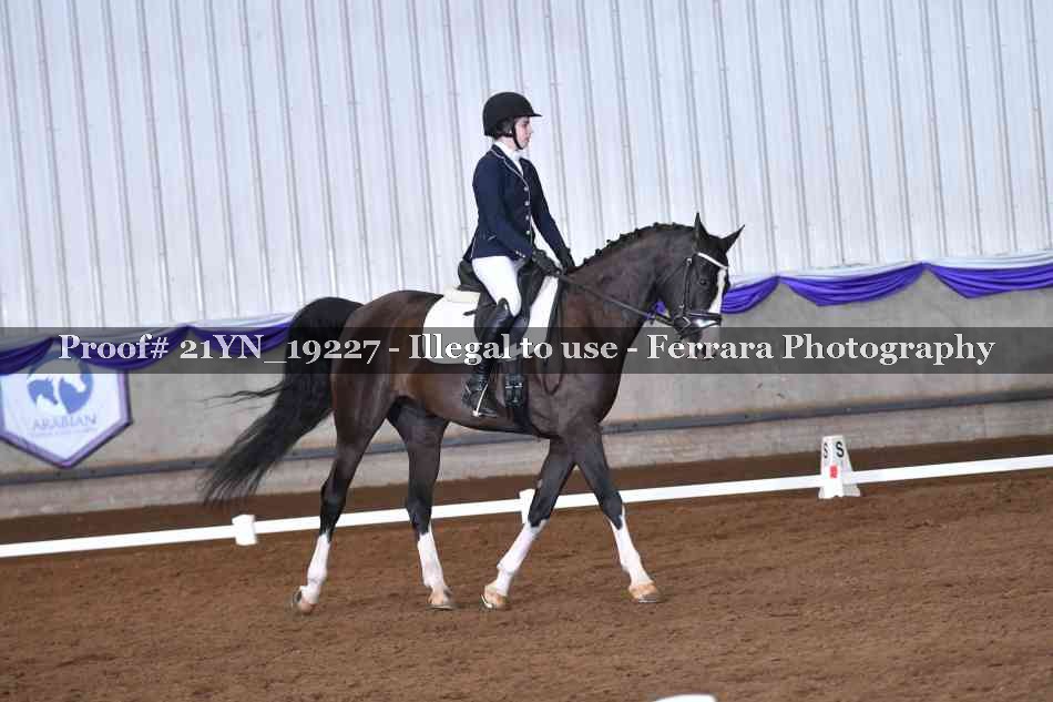 Proof Number 21YN_19227
