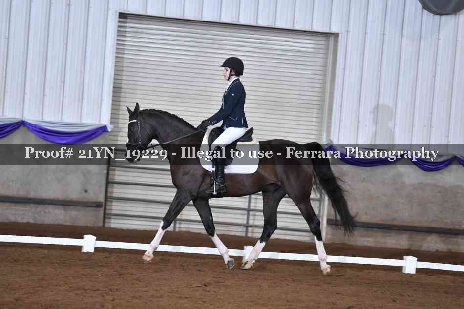 Proof Number 21YN_19229