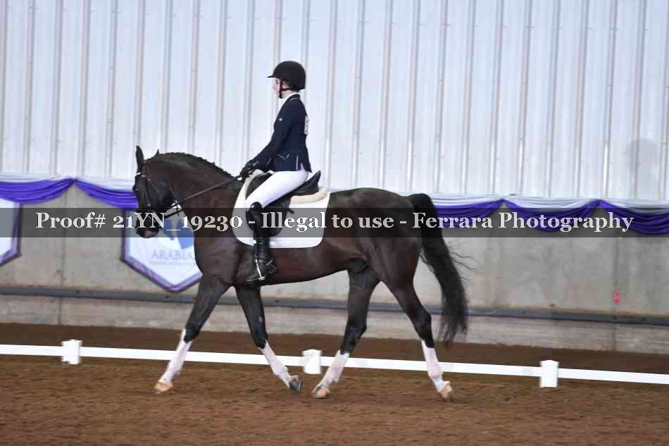 Proof Number 21YN_19230