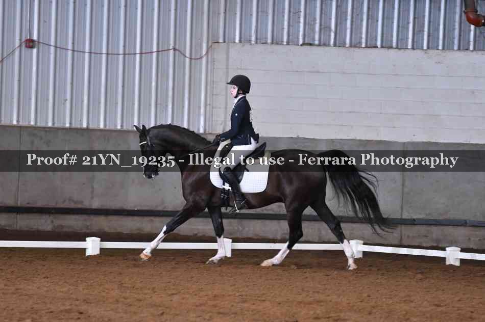 Proof Number 21YN_19235