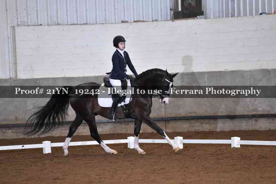 Proof Number 21YN_19242