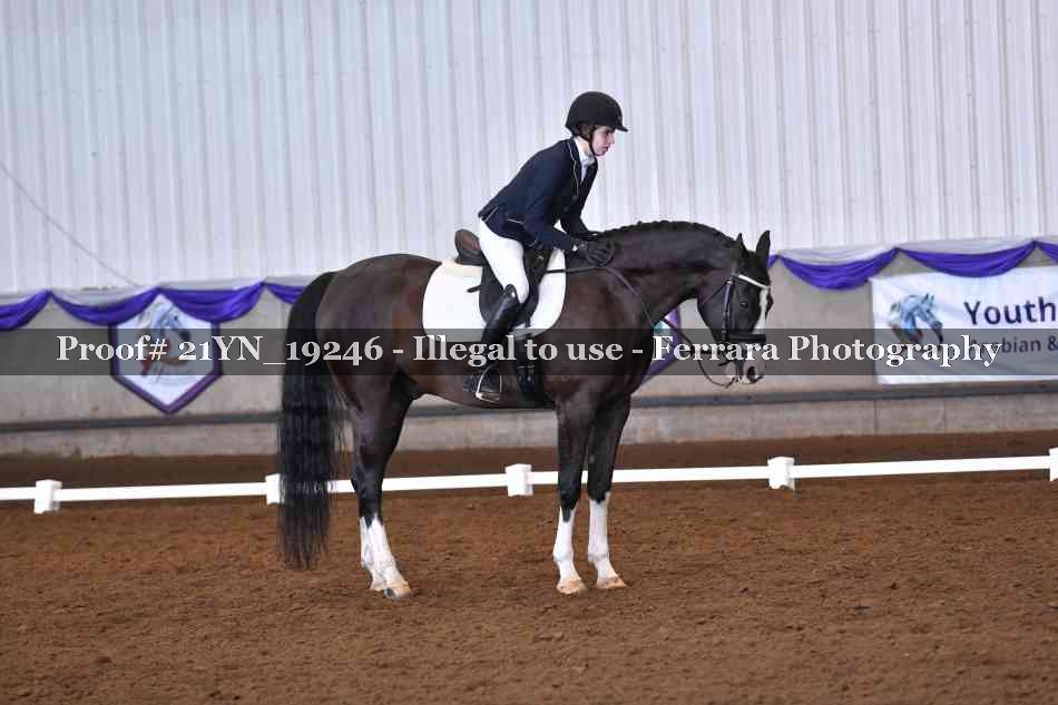 Proof Number 21YN_19246