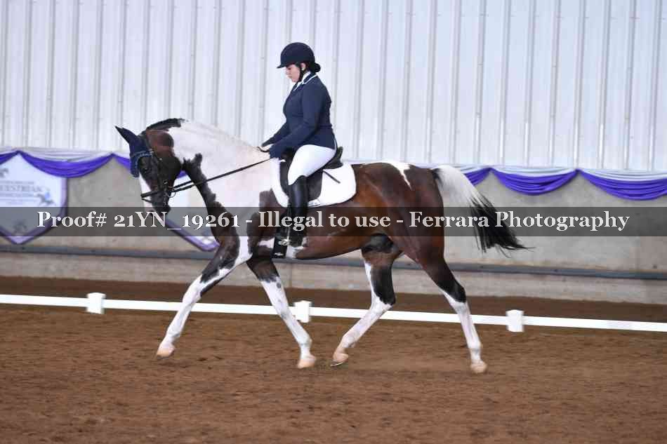 Proof Number 21YN_19261
