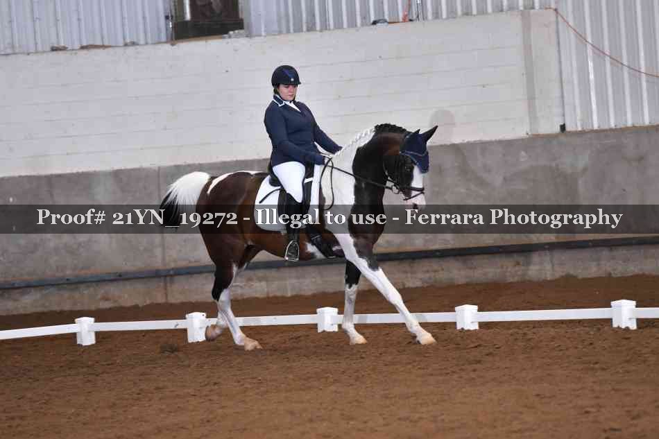 Proof Number 21YN_19272
