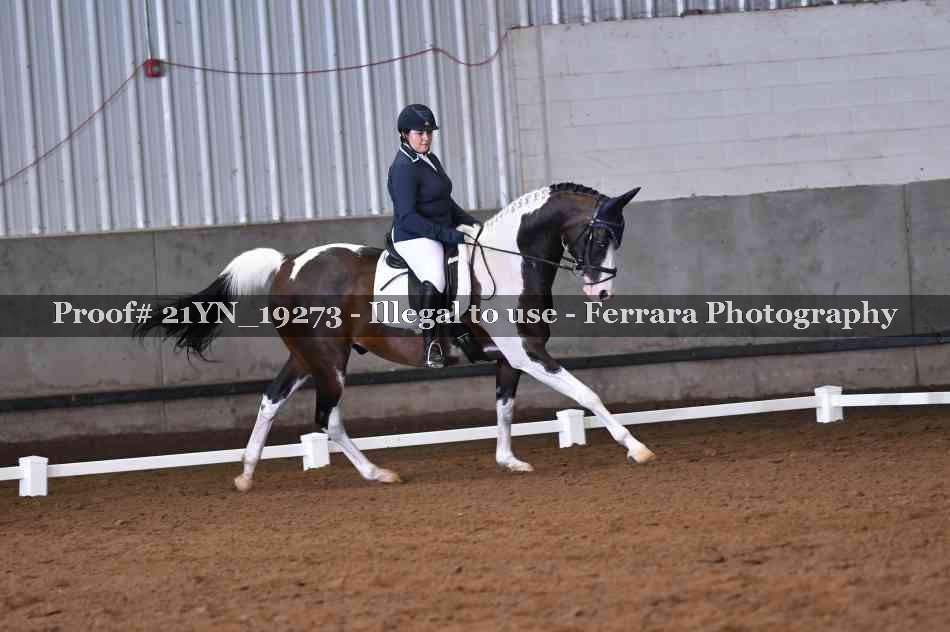 Proof Number 21YN_19273