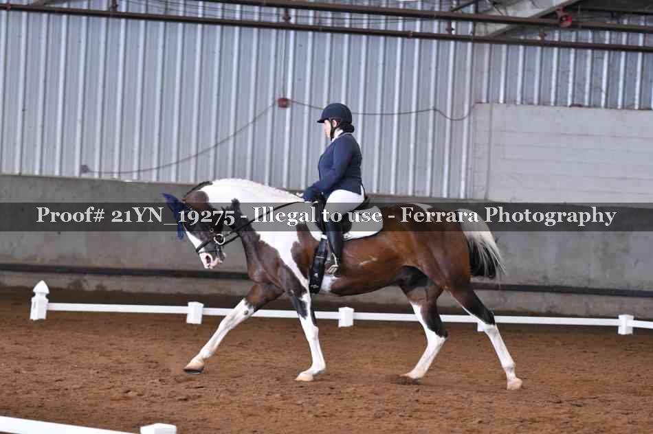 Proof Number 21YN_19275