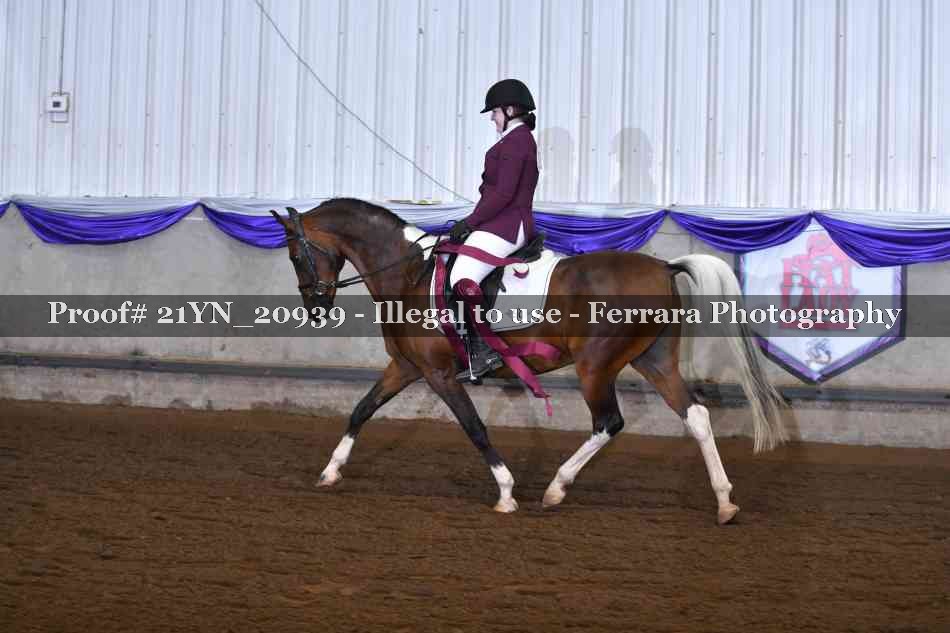 Proof Number 21YN_20939