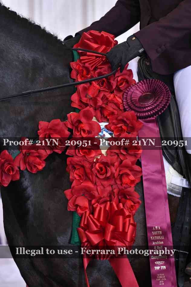 Proof Number 21YN_20951