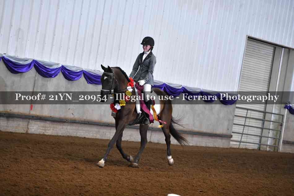 Proof Number 21YN_20954
