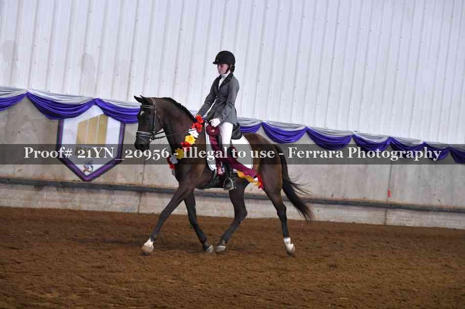 Proof Number 21YN_20956