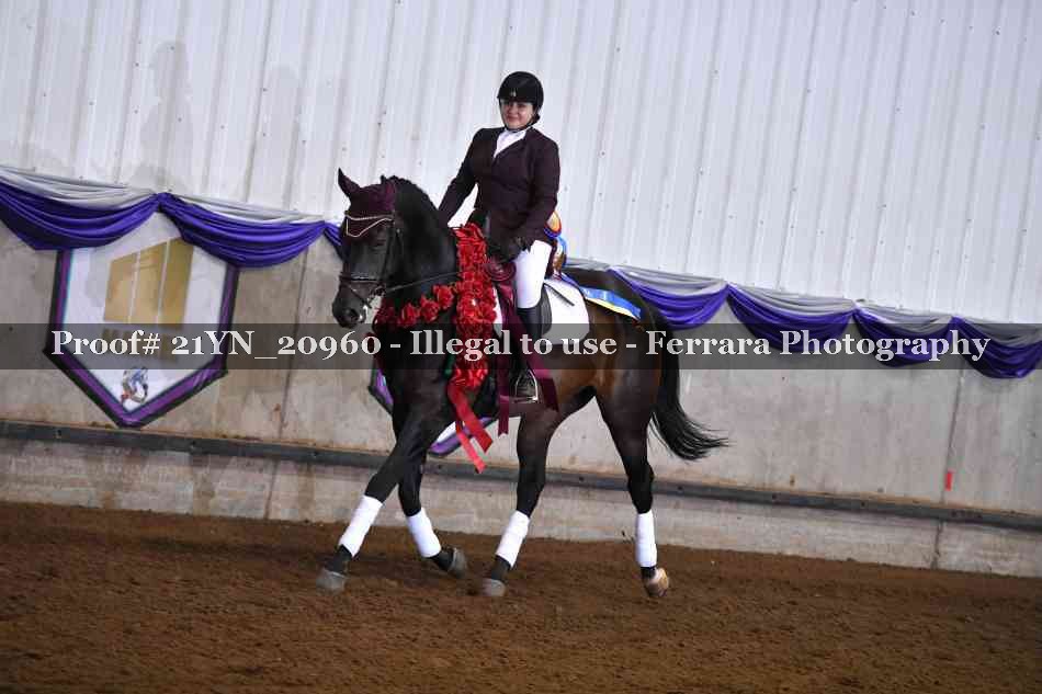 Proof Number 21YN_20960