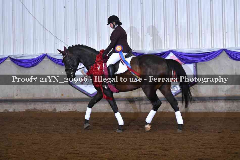 Proof Number 21YN_20966