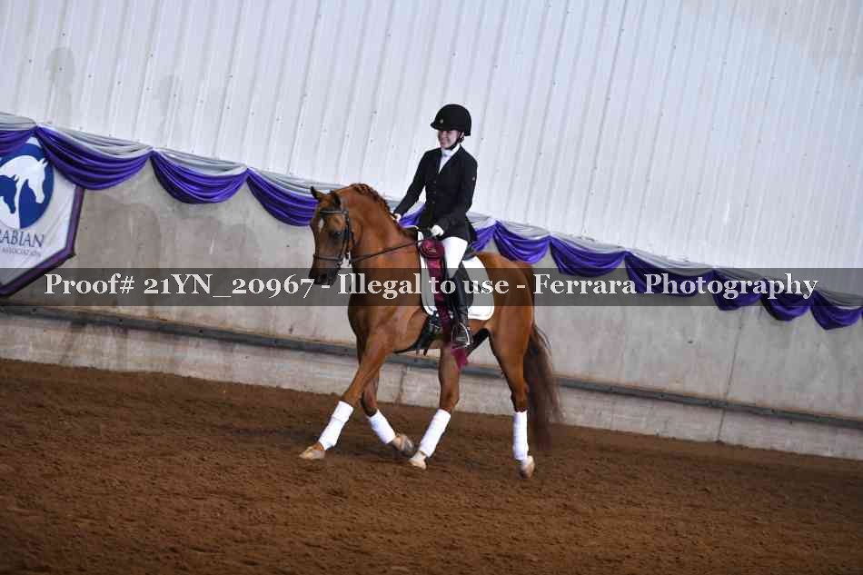Proof Number 21YN_20967