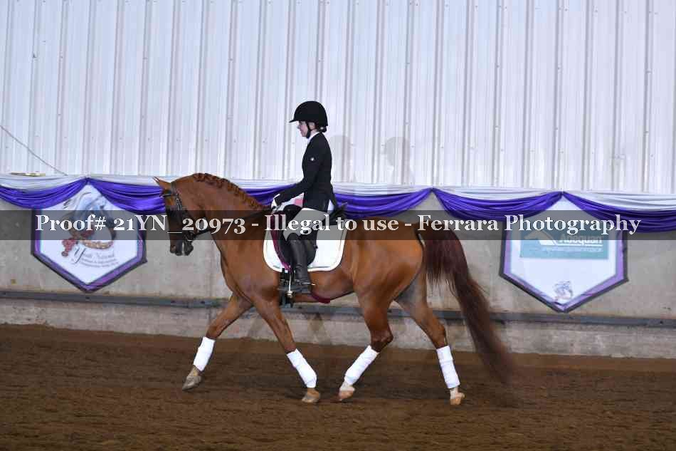 Proof Number 21YN_20973