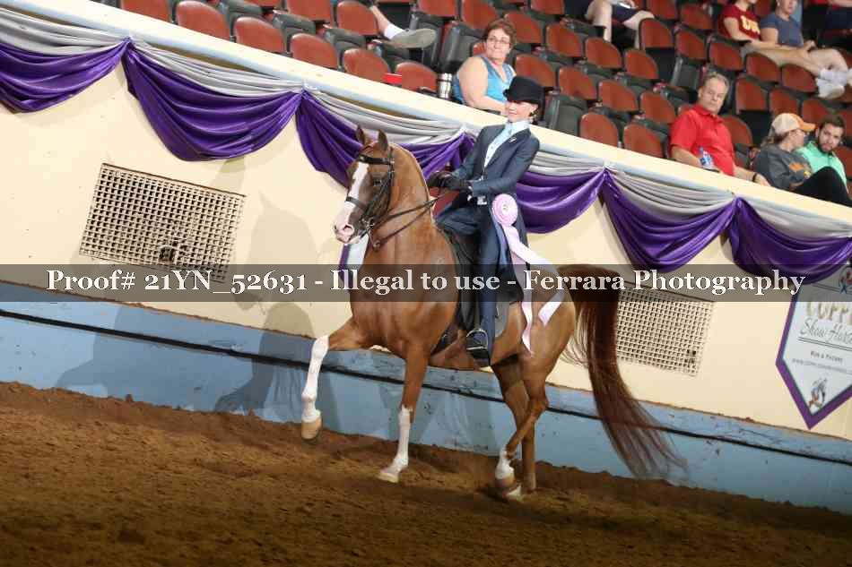 Proof Number 21YN_52631