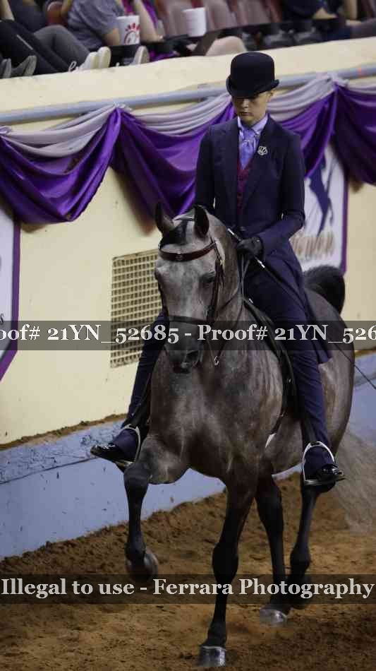 Proof Number 21YN_52685