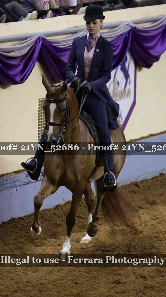 Proof Number 21YN_52686