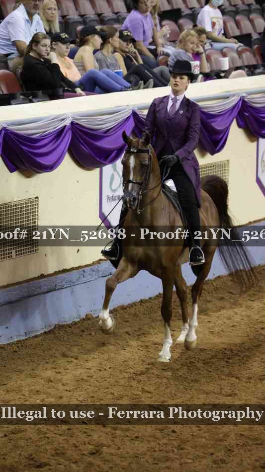 Proof Number 21YN_52688