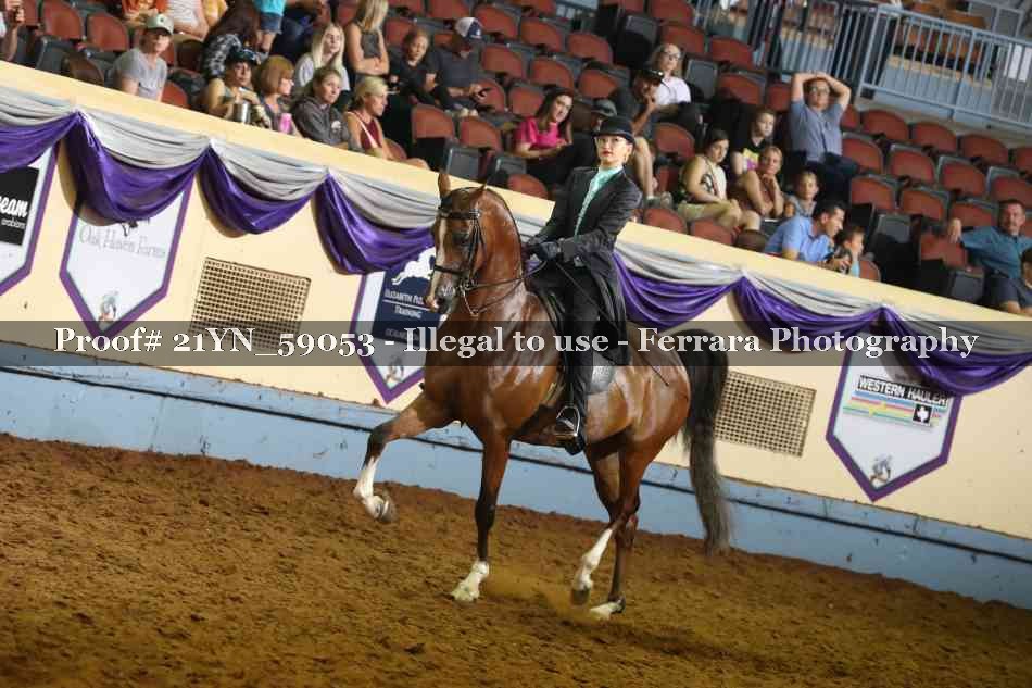Proof Number 21YN_59053