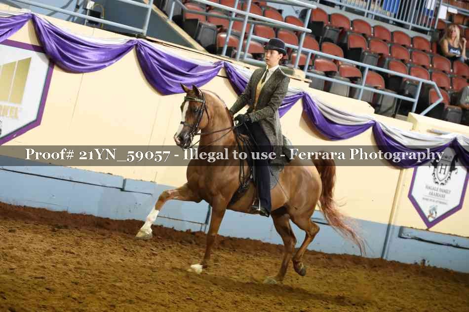 Proof Number 21YN_59057