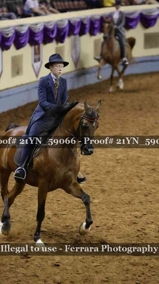 Proof Number 21YN_59066