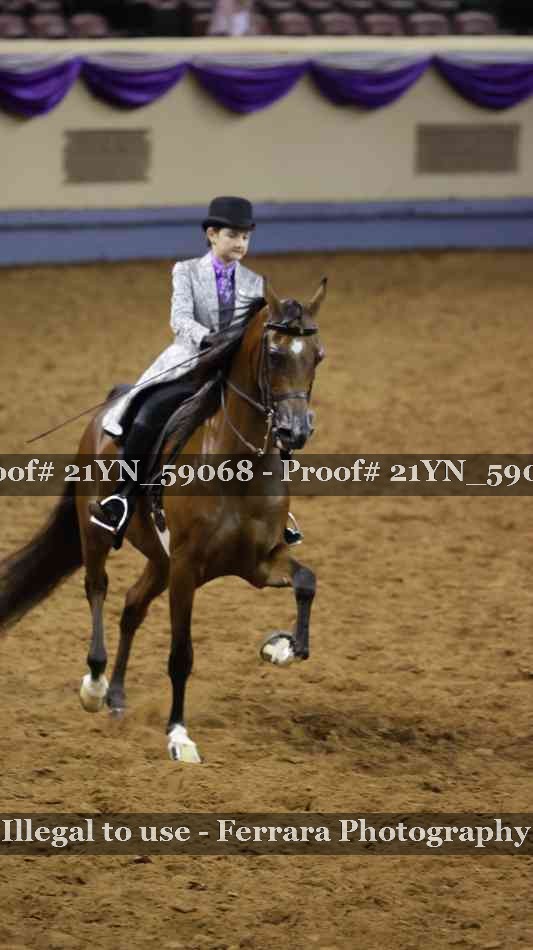 Proof Number 21YN_59068