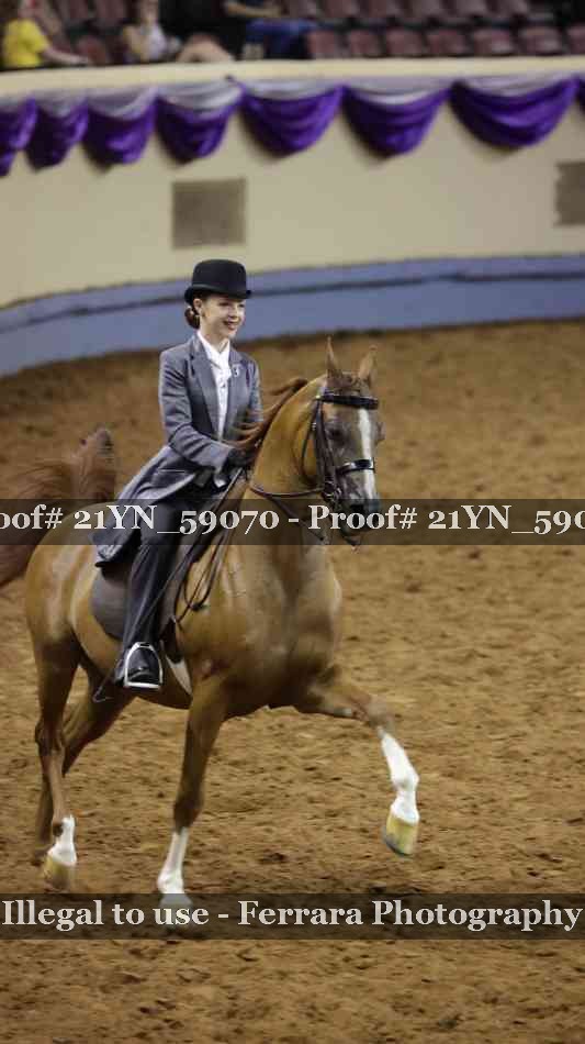 Proof Number 21YN_59070