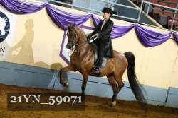 21YN_59071 thumbnail