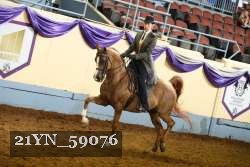 21YN_59076 thumbnail