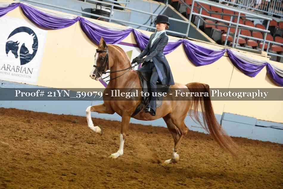 Proof Number 21YN_59079