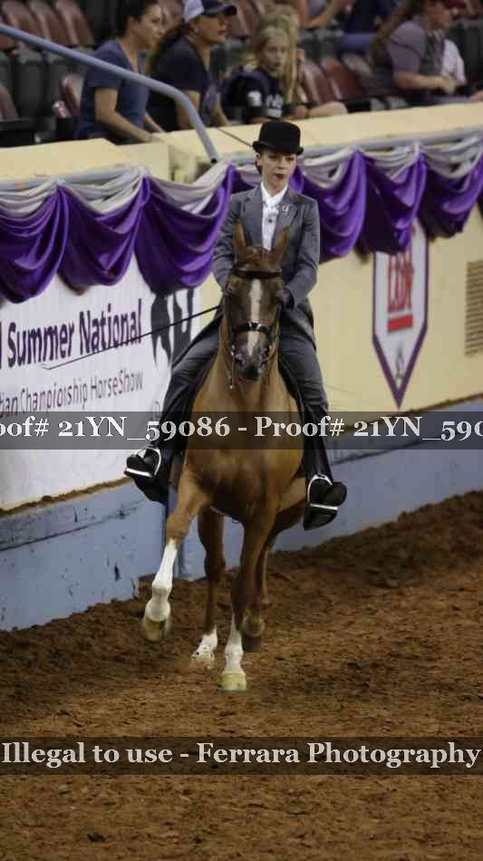Proof Number 21YN_59086