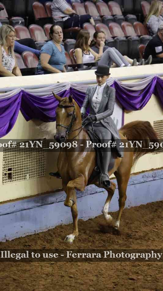 Proof Number 21YN_59098