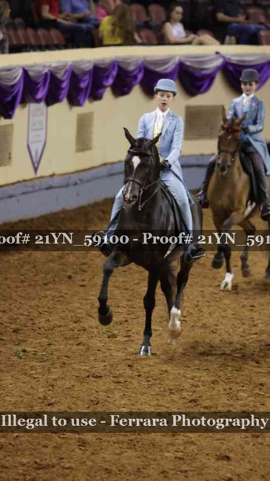 Proof Number 21YN_59100