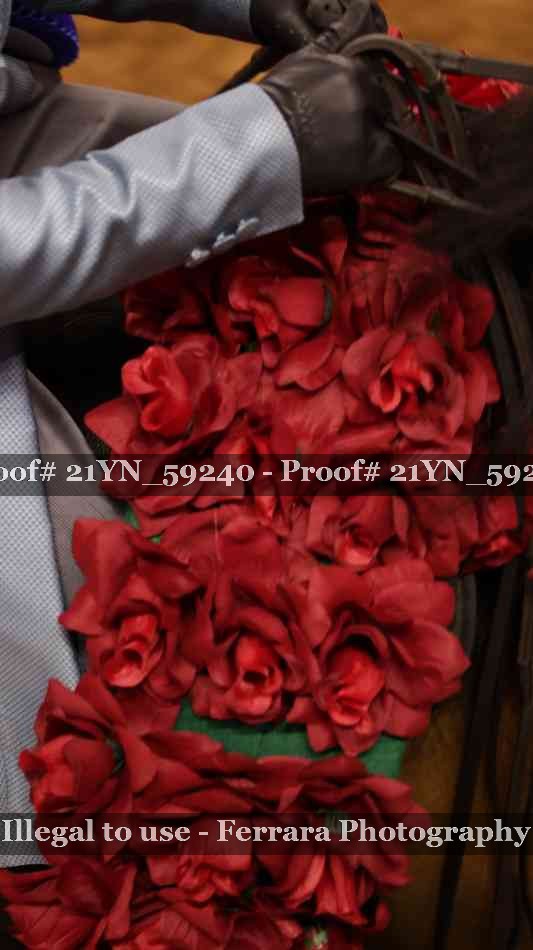 Proof Number 21YN_59240