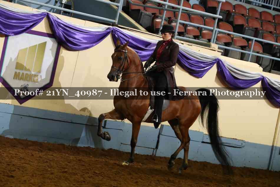 Proof Number 21YN_40987