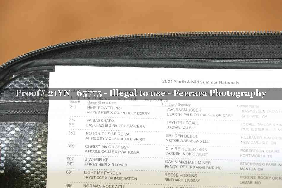 Proof Number 21YN_65775